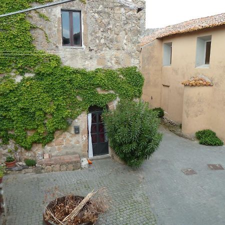 La Giuliva Di Pianiano Apartamento Cellere Exterior foto