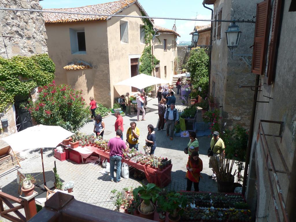 La Giuliva Di Pianiano Apartamento Cellere Habitación foto