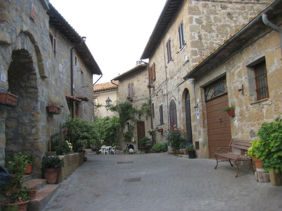 La Giuliva Di Pianiano Apartamento Cellere Exterior foto