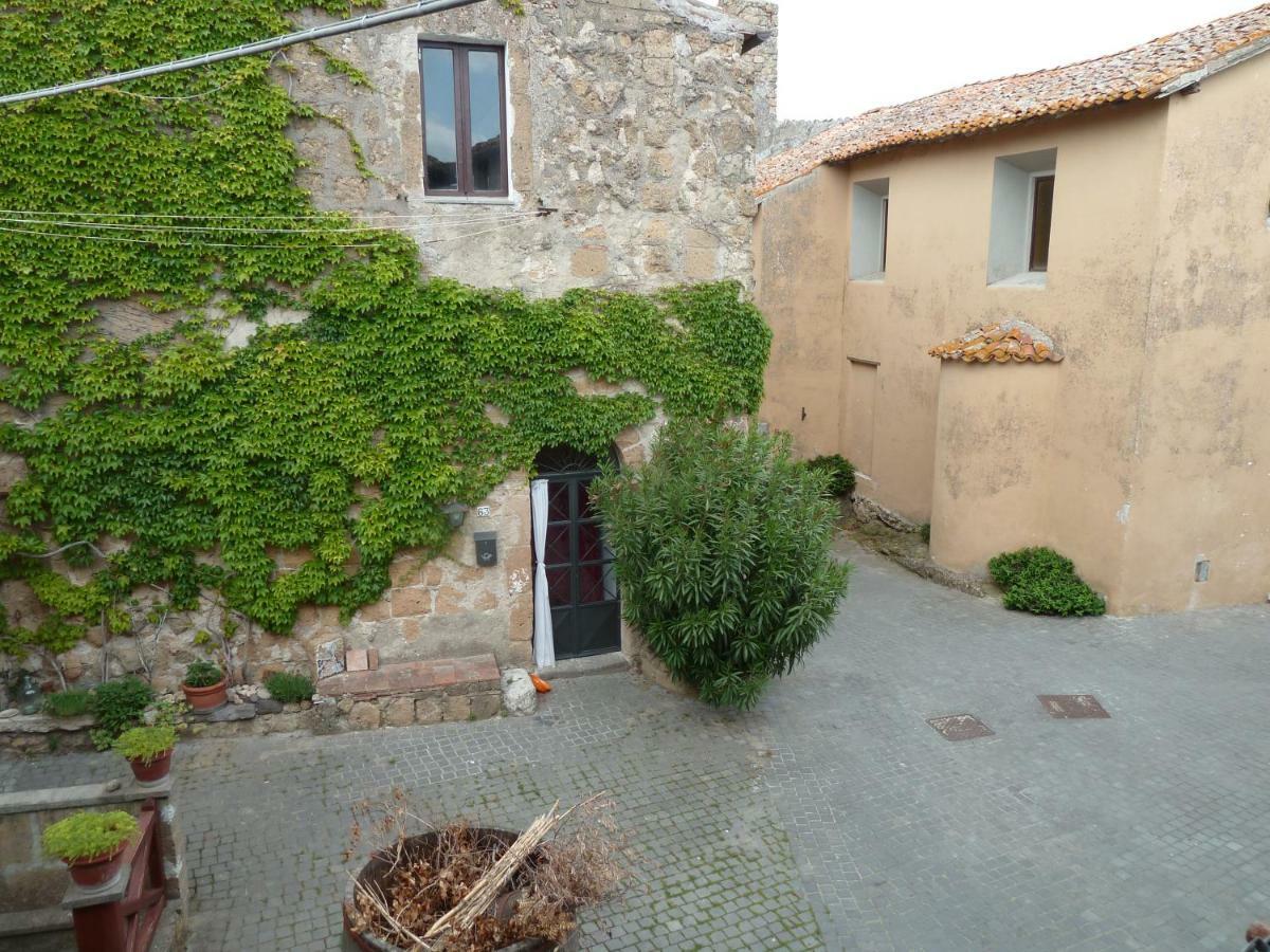 La Giuliva Di Pianiano Apartamento Cellere Exterior foto